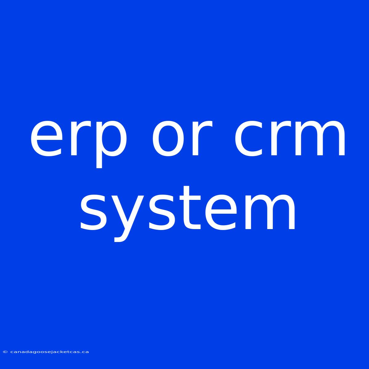 Erp Or Crm System