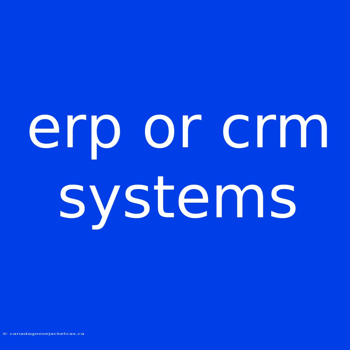 Erp Or Crm Systems