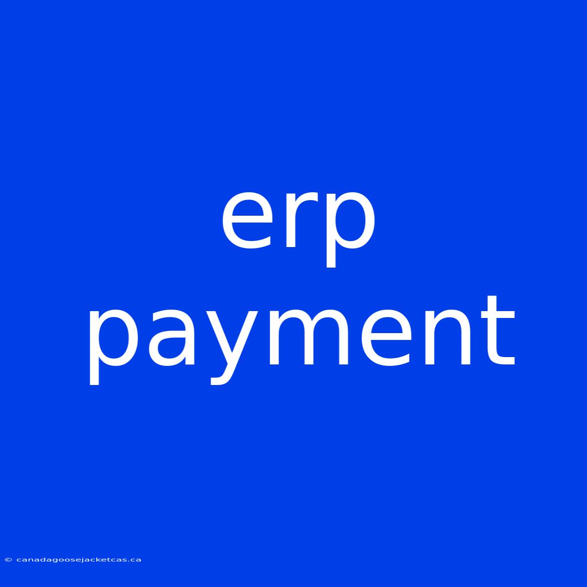 Erp Payment