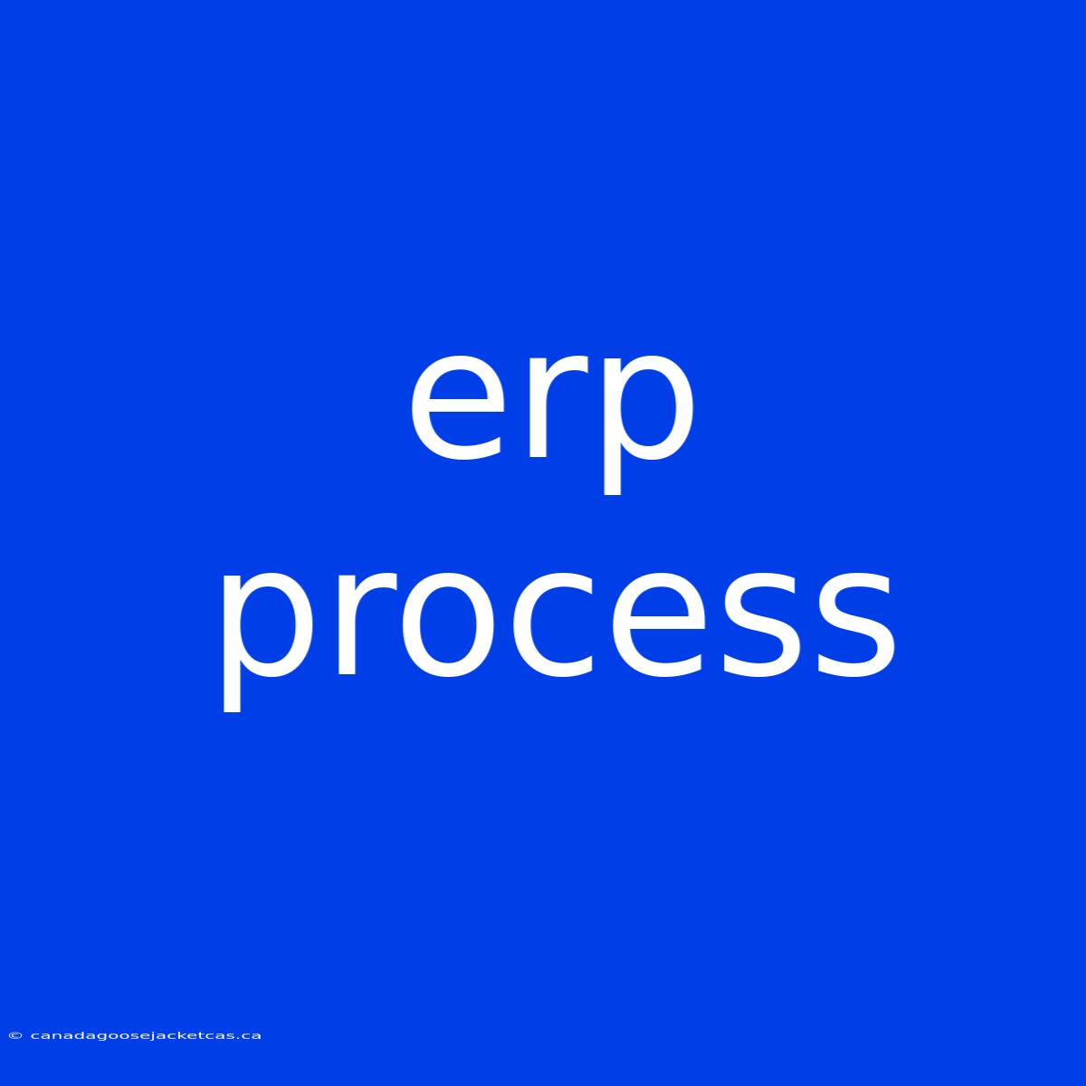 Erp Process