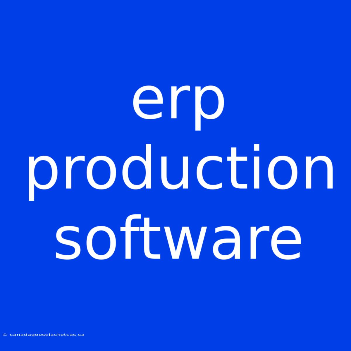 Erp Production Software