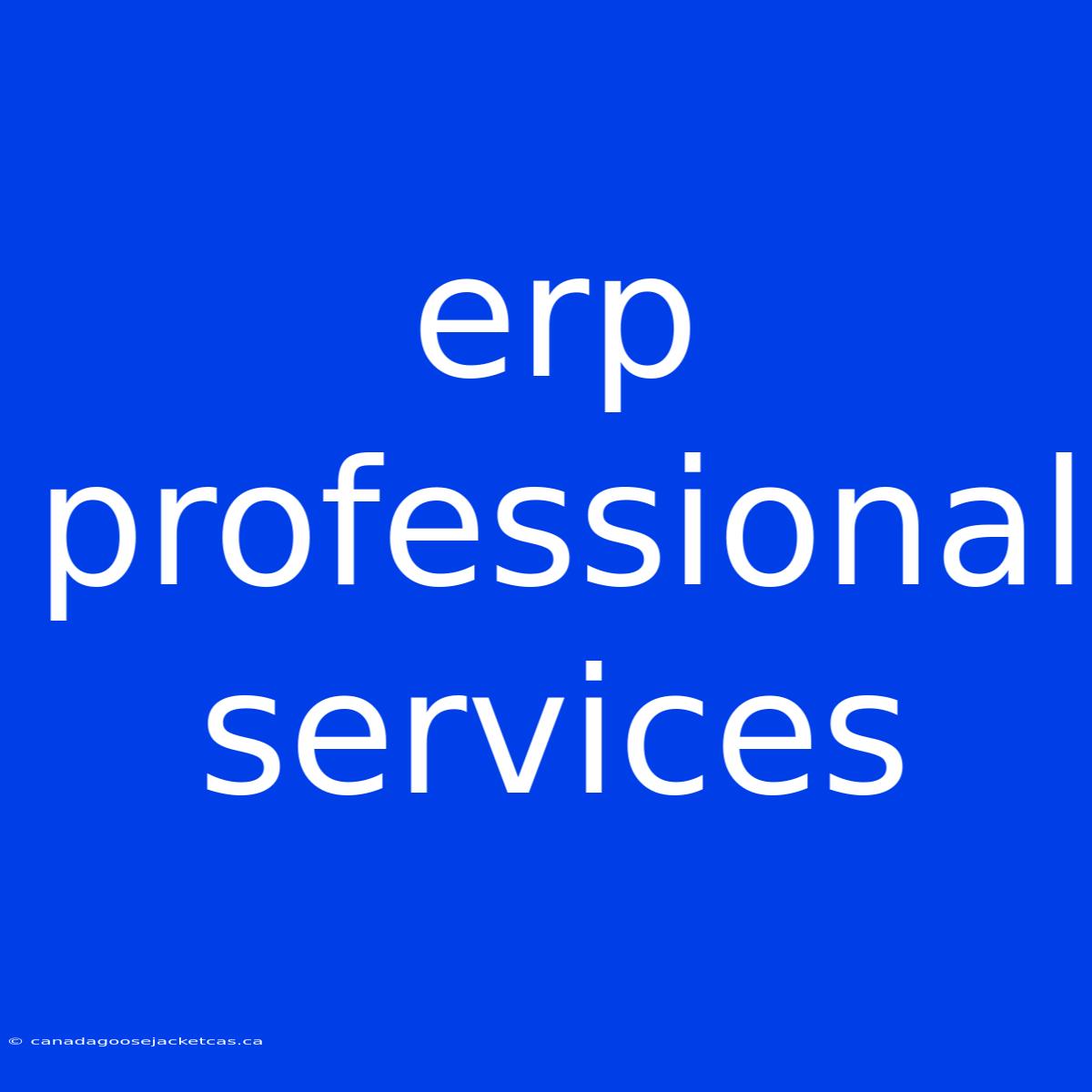 Erp Professional Services