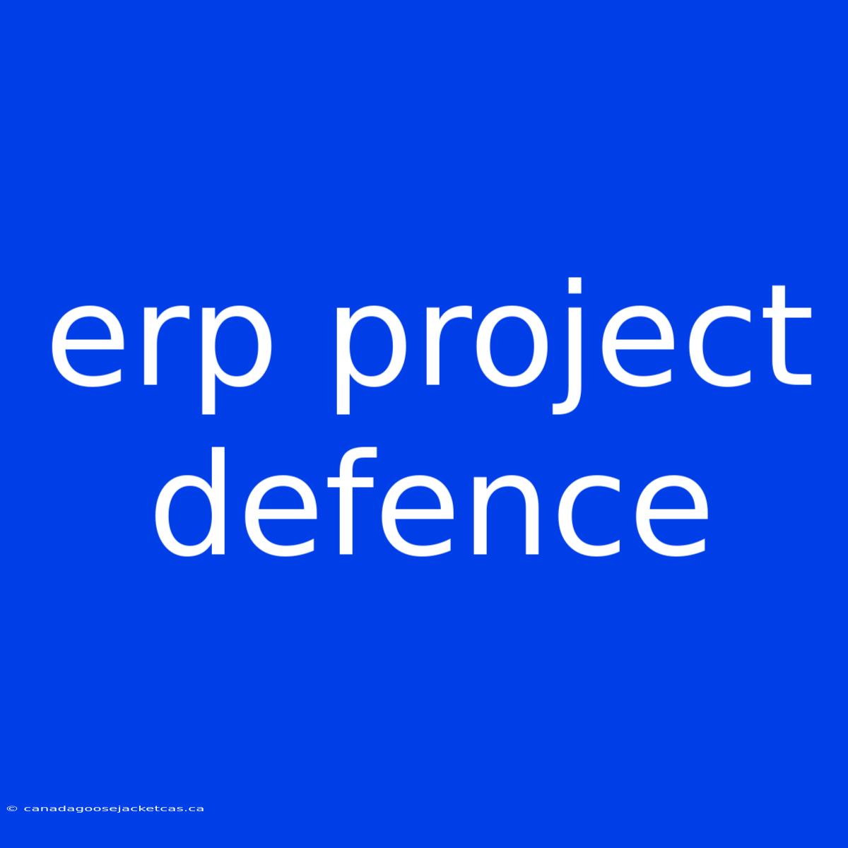 Erp Project Defence