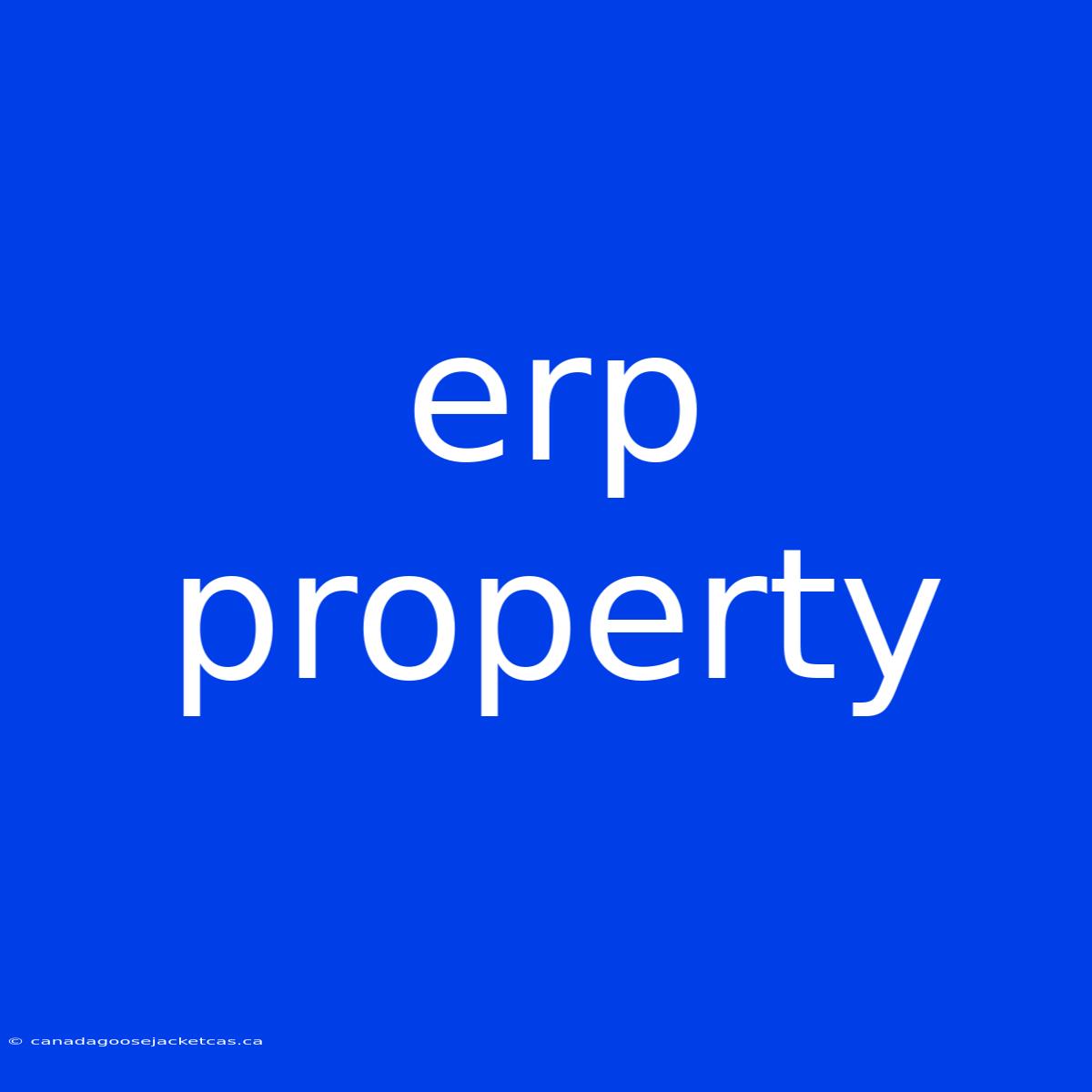 Erp Property