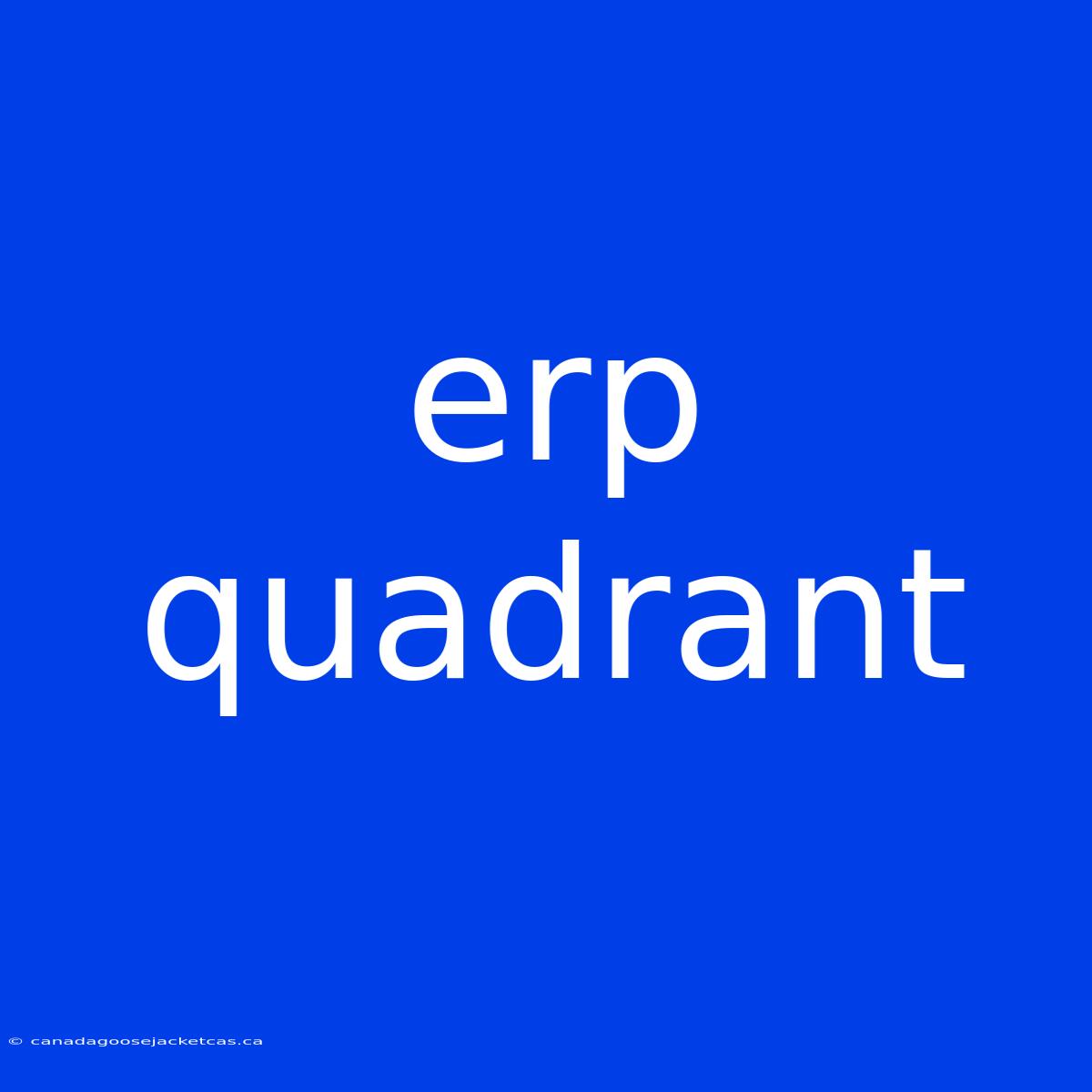 Erp Quadrant