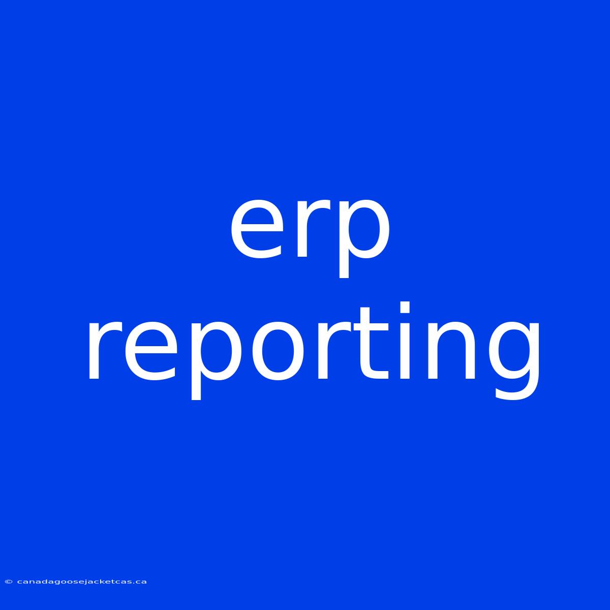 Erp Reporting