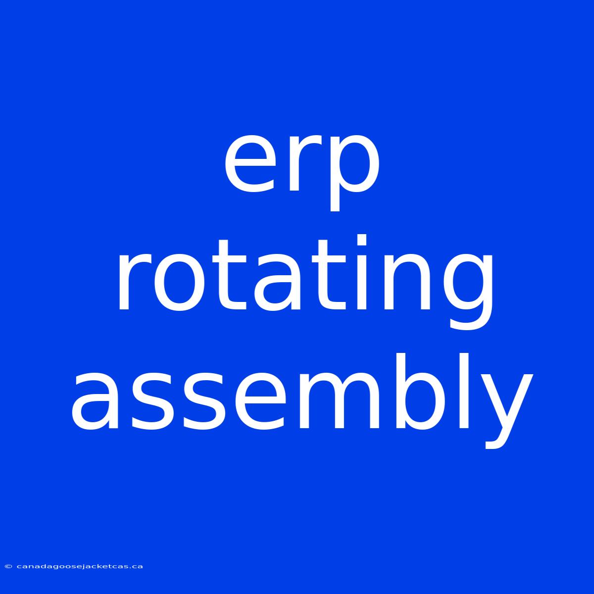 Erp Rotating Assembly