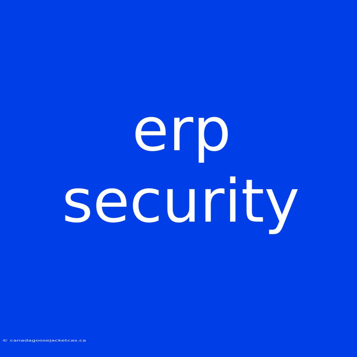 Erp Security