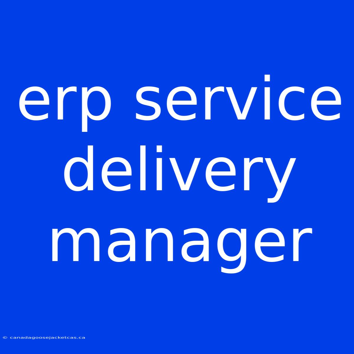 Erp Service Delivery Manager