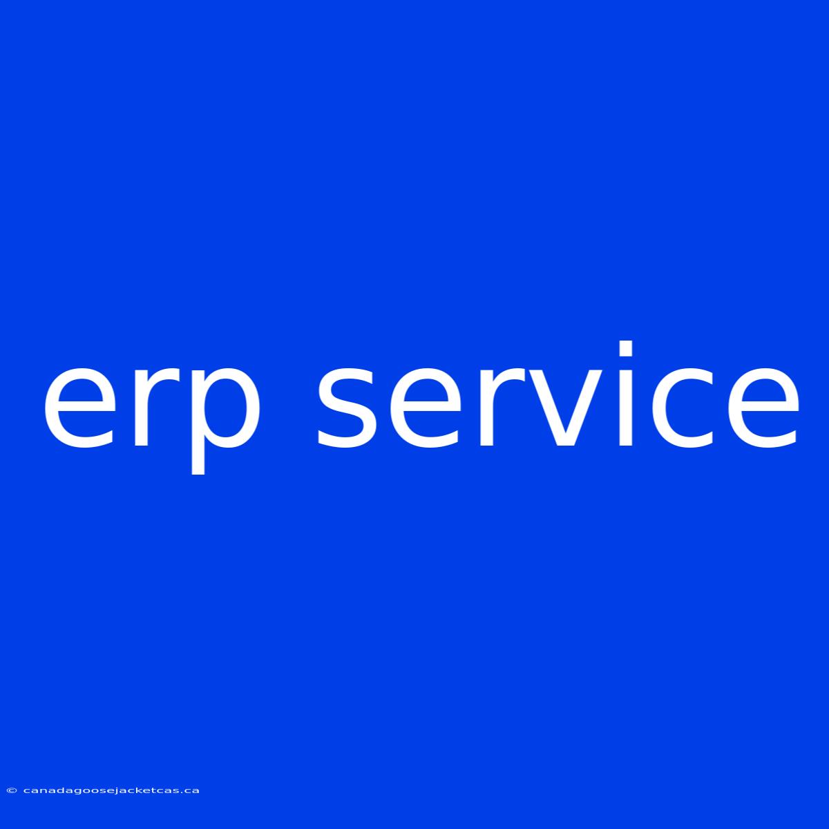 Erp Service