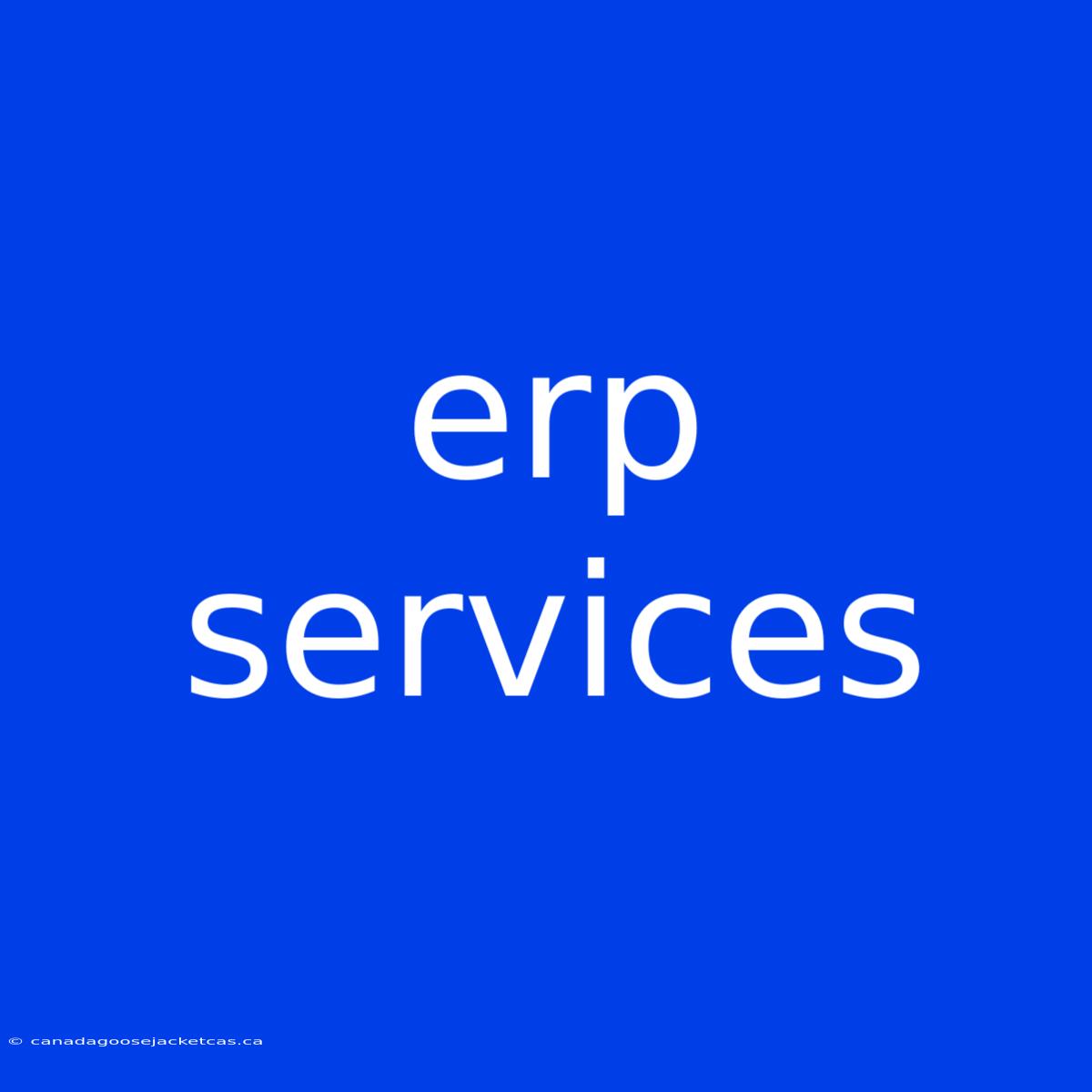 Erp Services