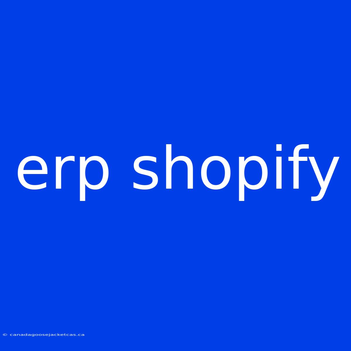 Erp Shopify