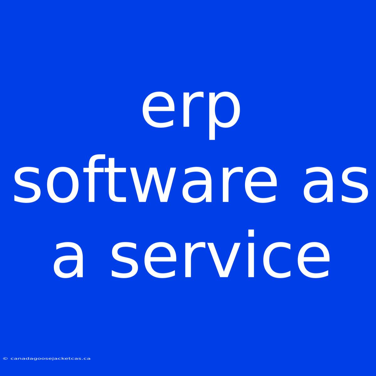 Erp Software As A Service