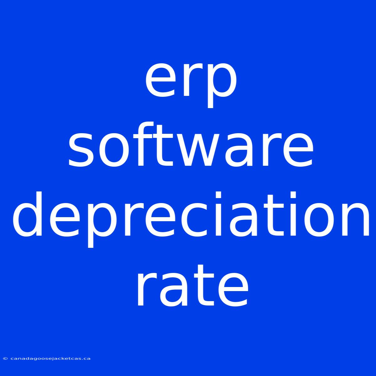 Erp Software Depreciation Rate