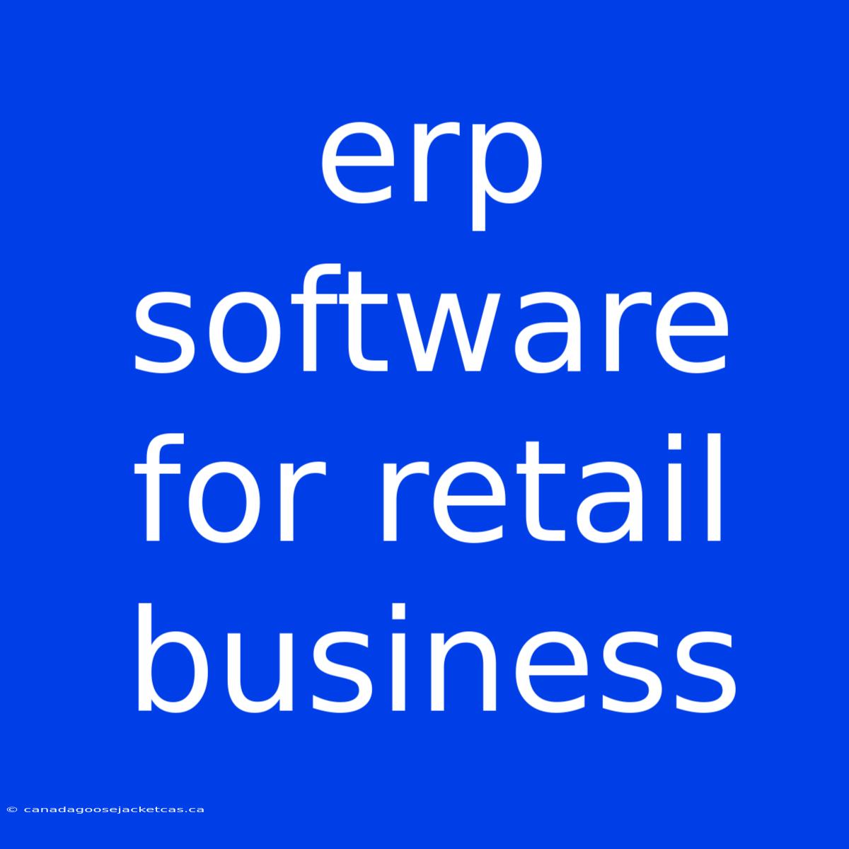 Erp Software For Retail Business