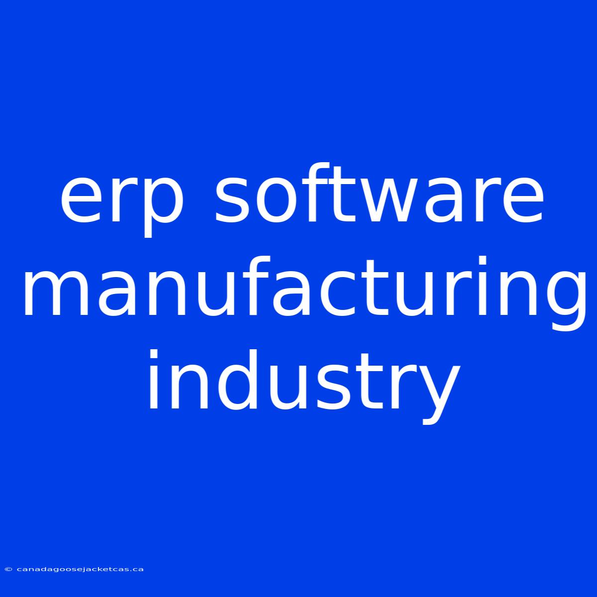 Erp Software Manufacturing Industry