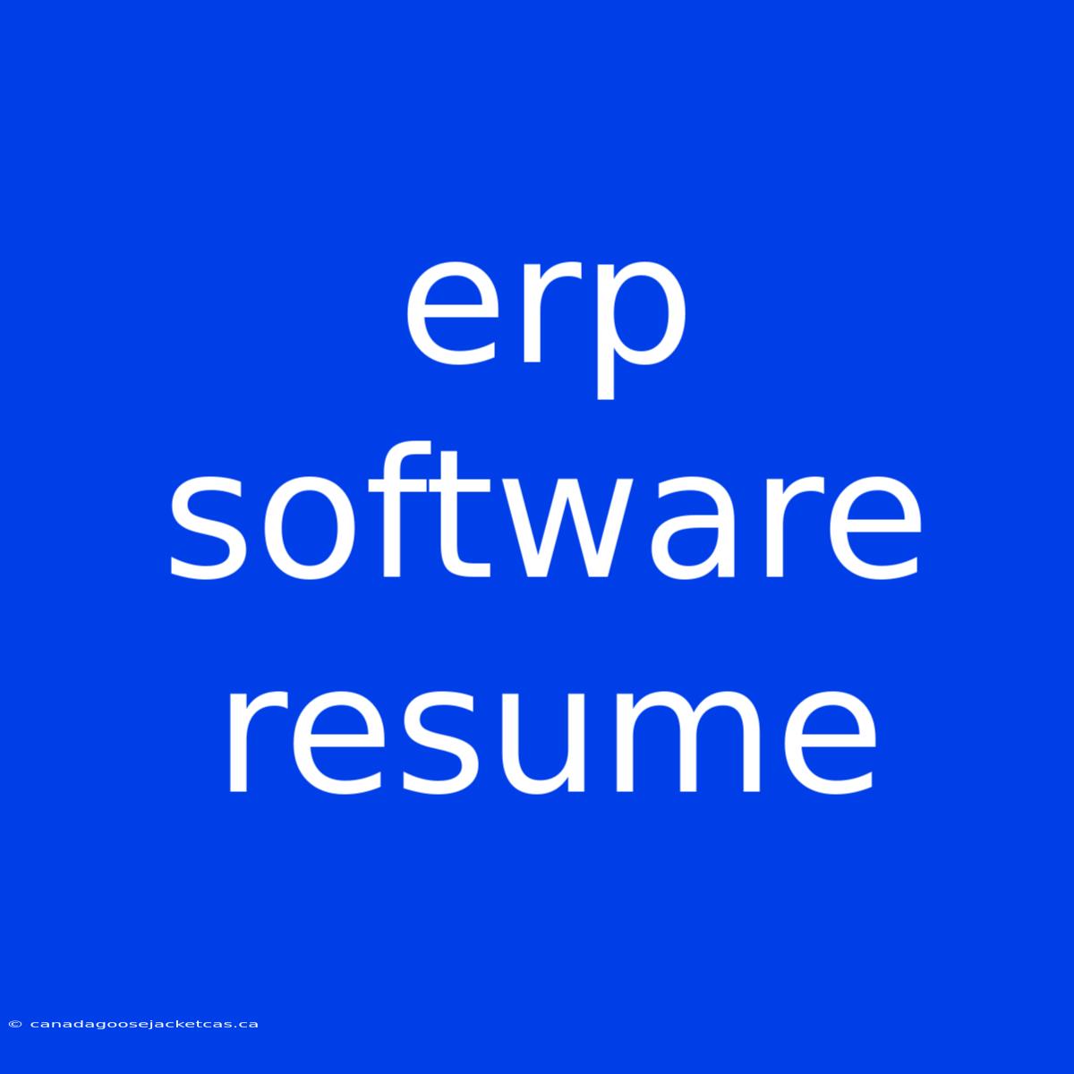 Erp Software Resume