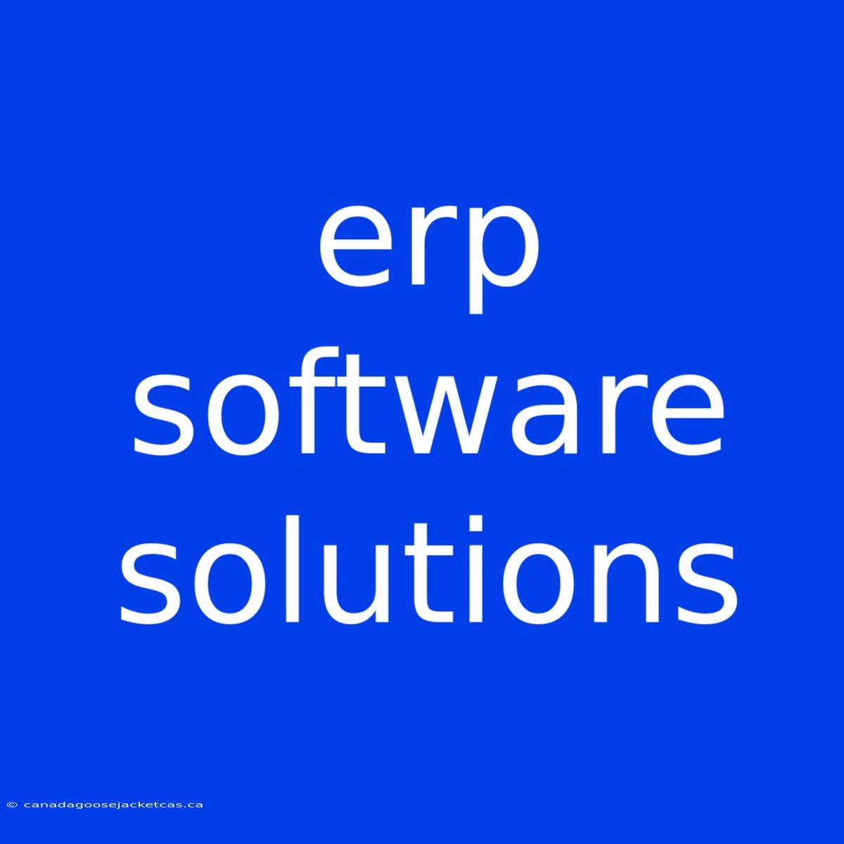 Erp Software Solutions