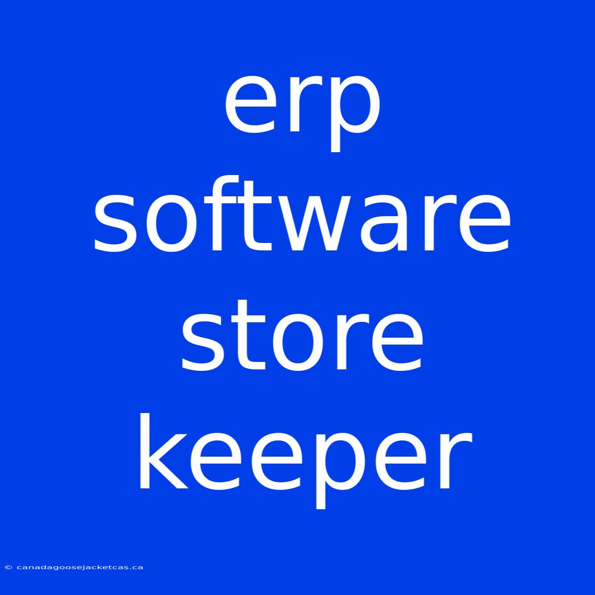 Erp Software Store Keeper