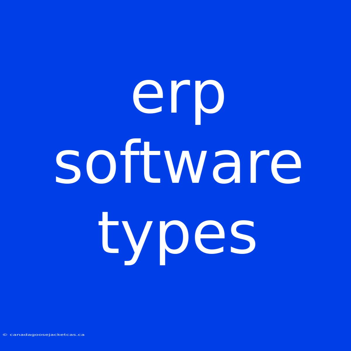 Erp Software Types