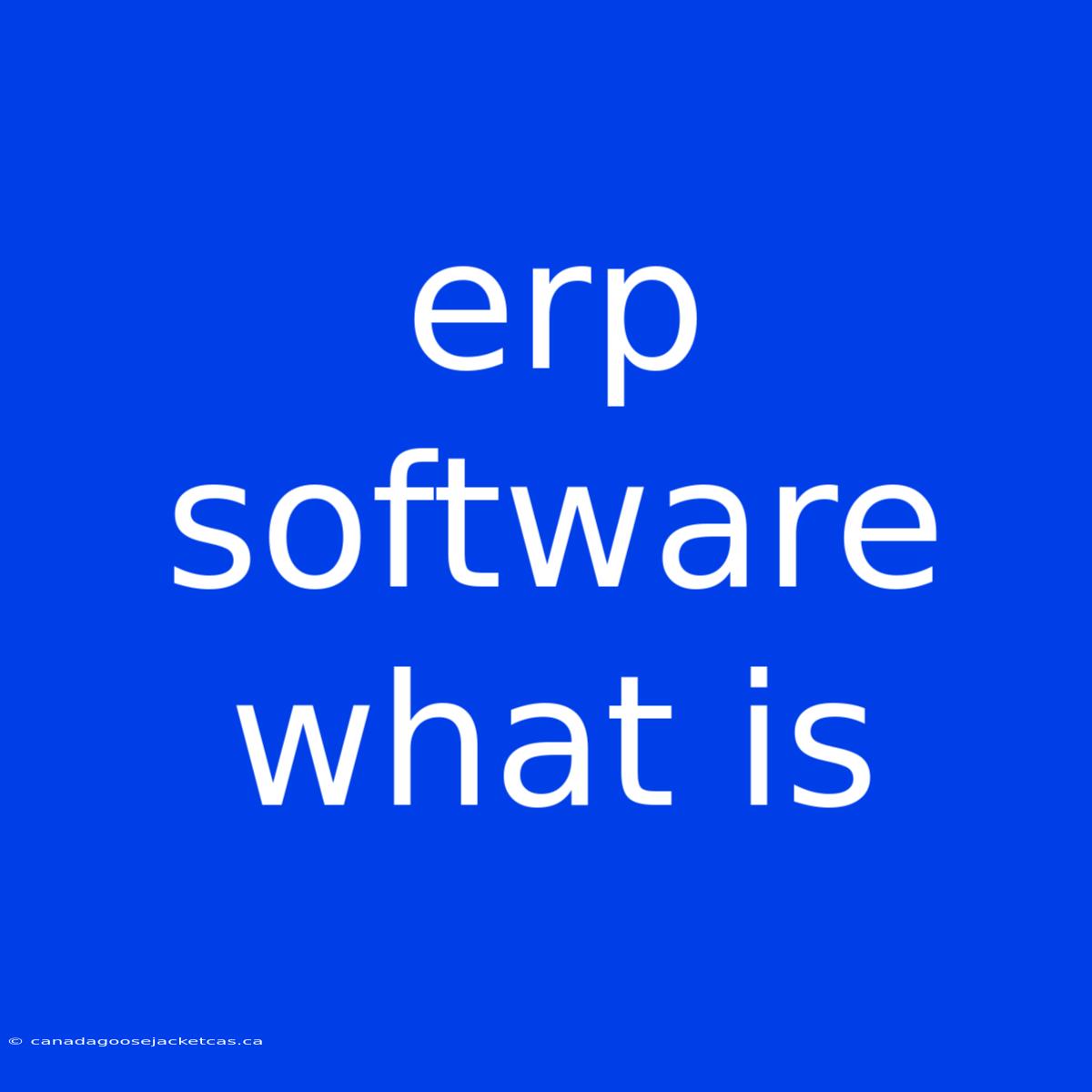 Erp Software What Is