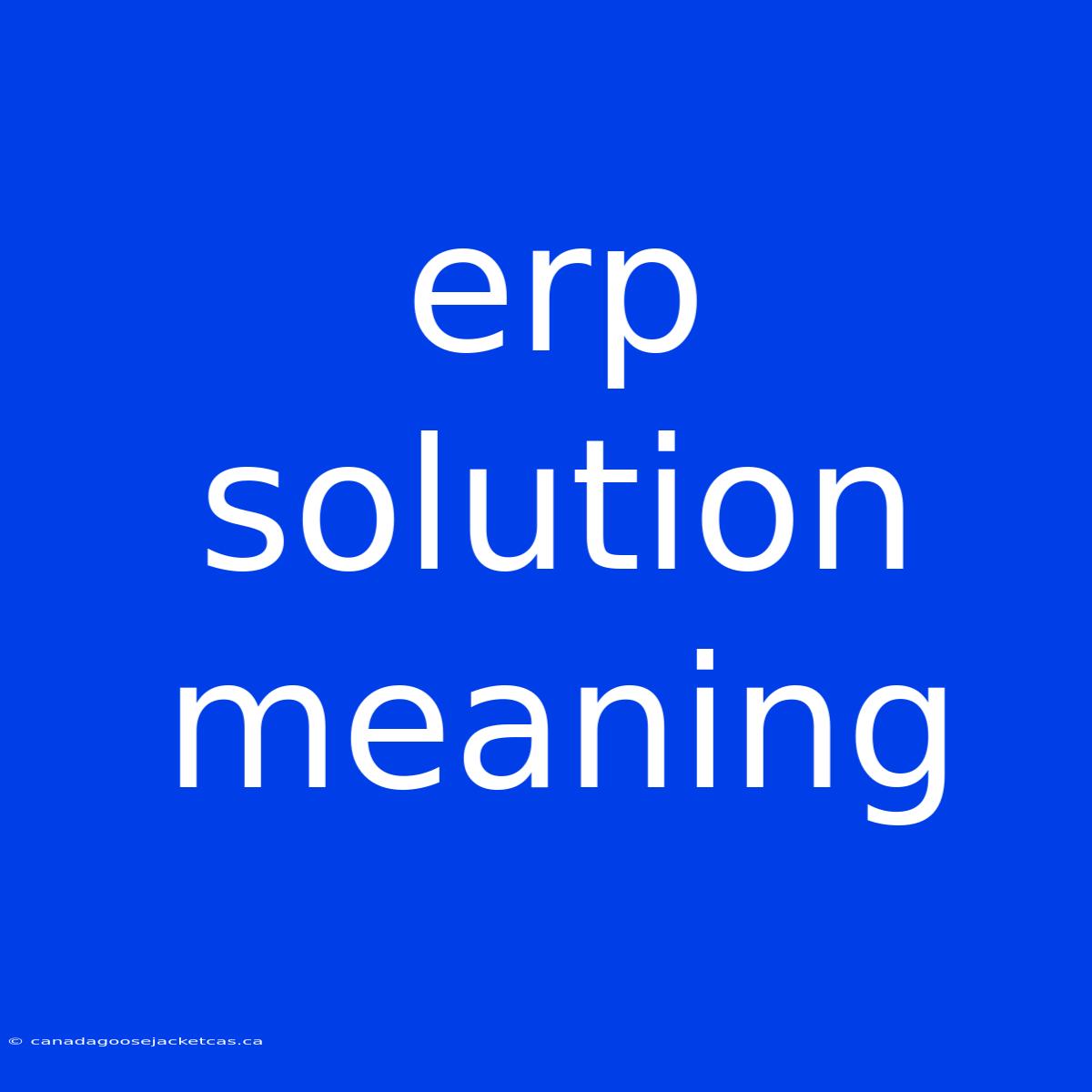 Erp Solution Meaning