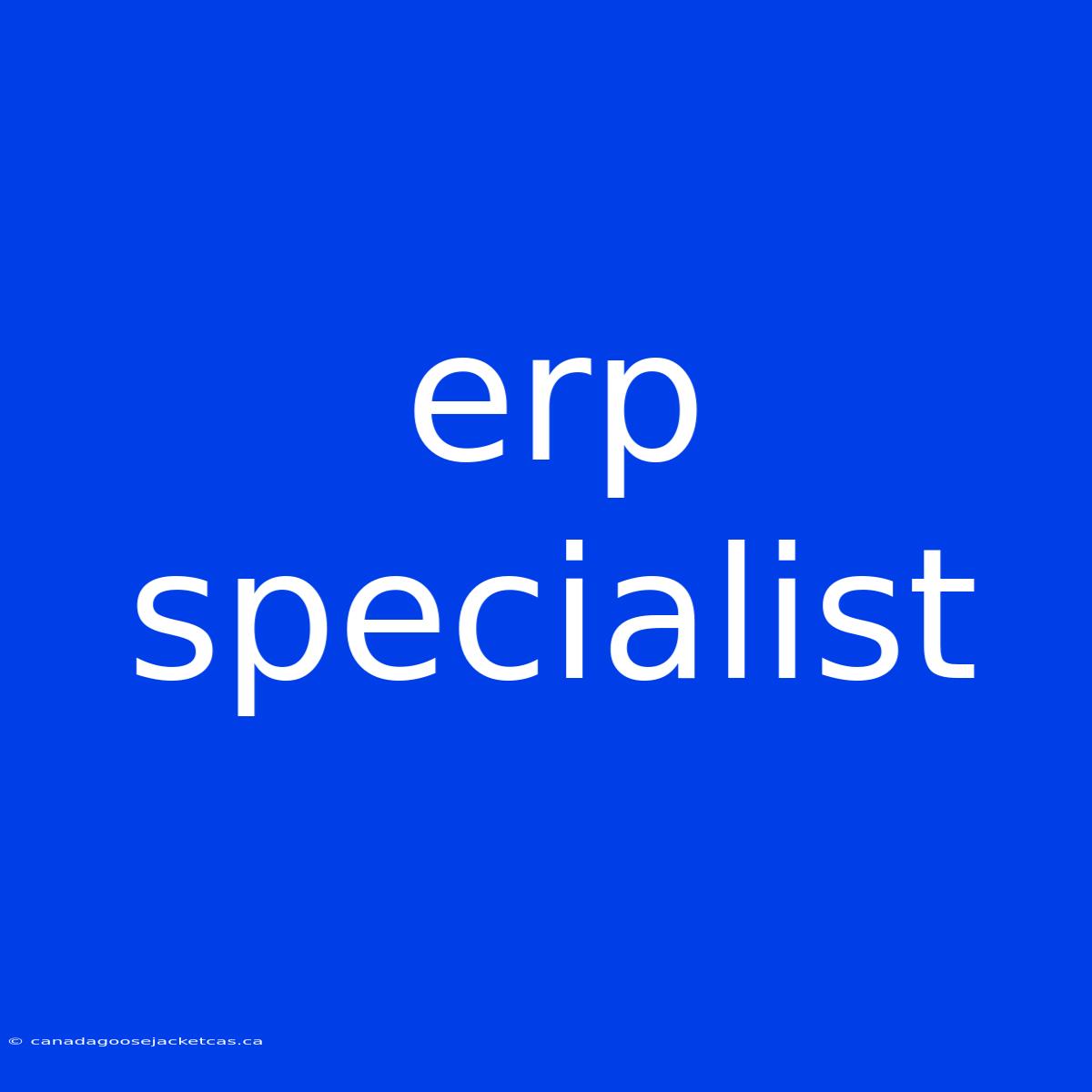 Erp Specialist