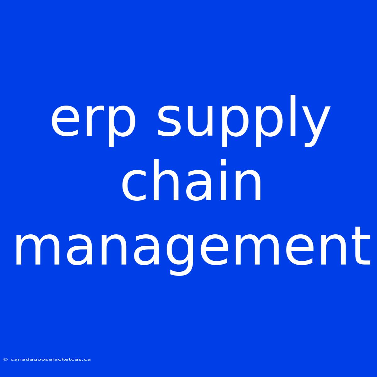 Erp Supply Chain Management