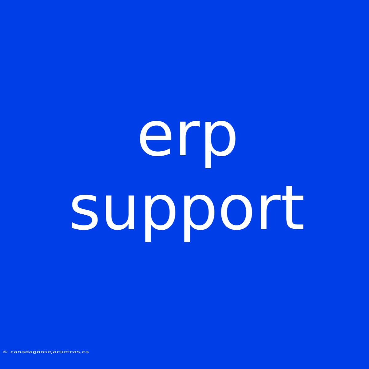 Erp Support