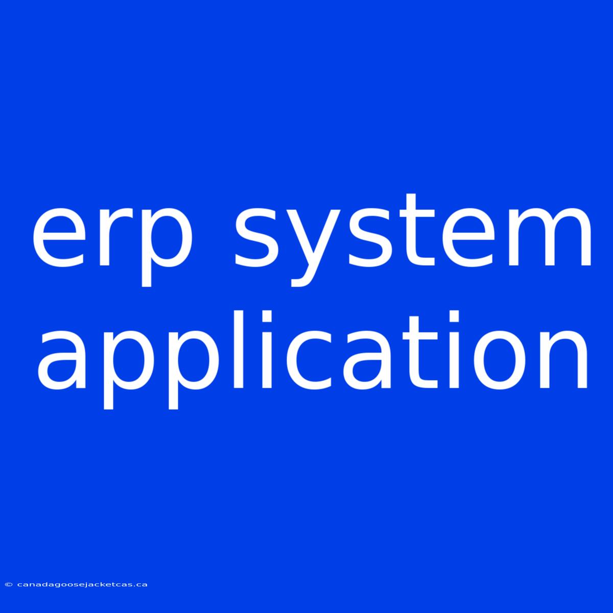 Erp System Application