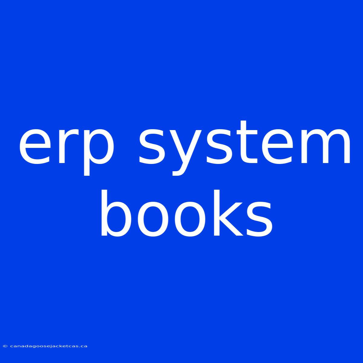 Erp System Books