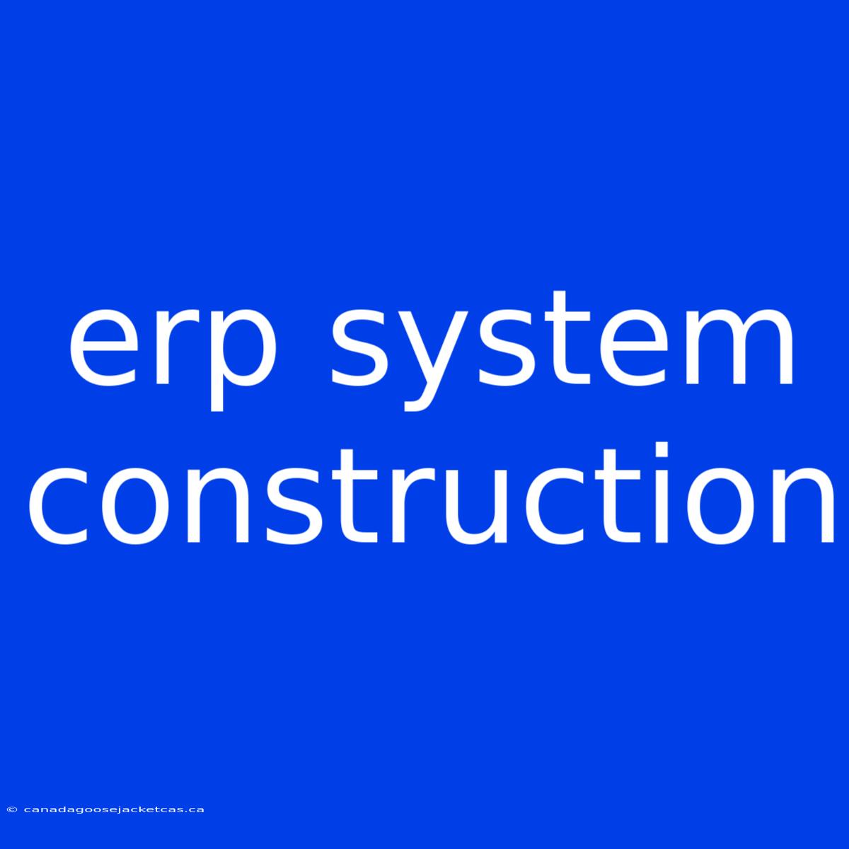 Erp System Construction