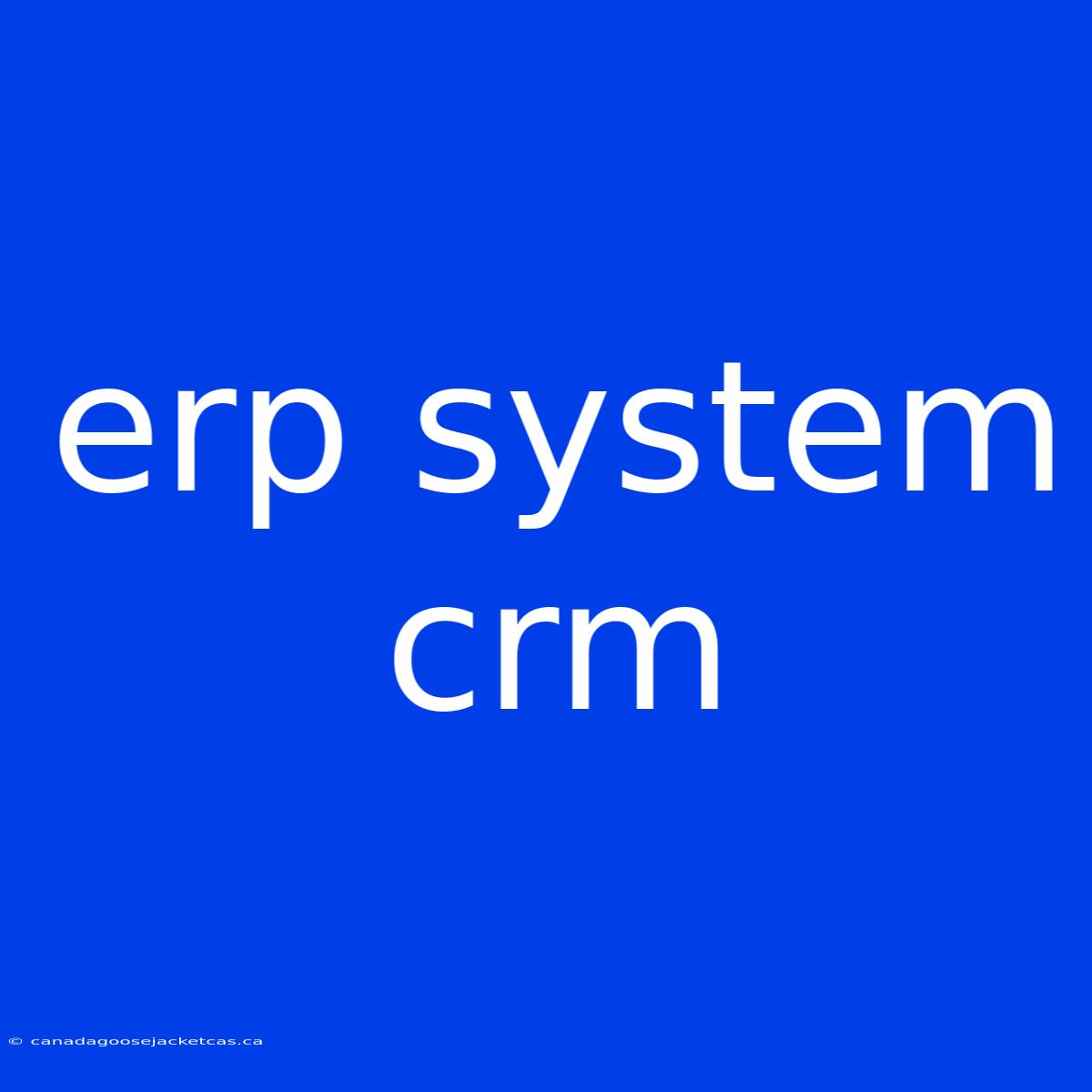 Erp System Crm