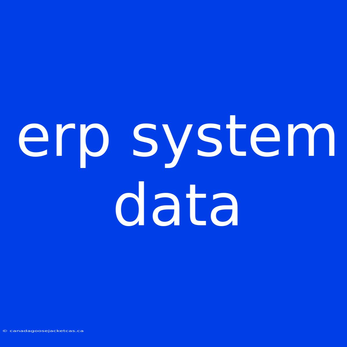 Erp System Data