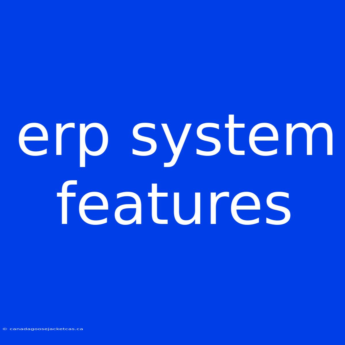 Erp System Features