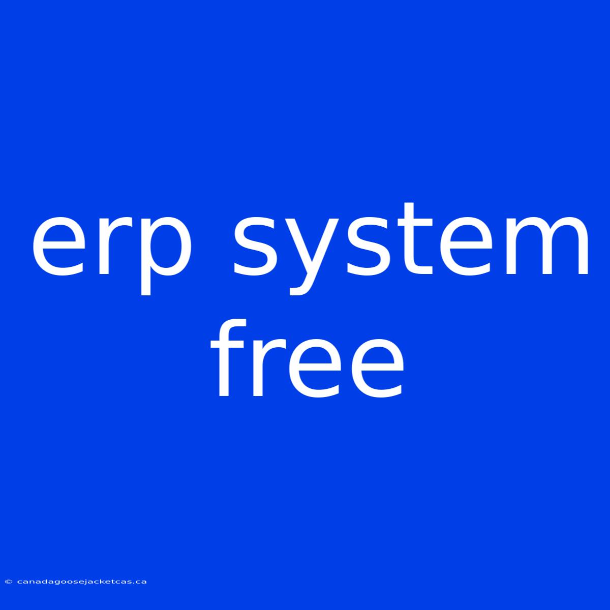 Erp System Free