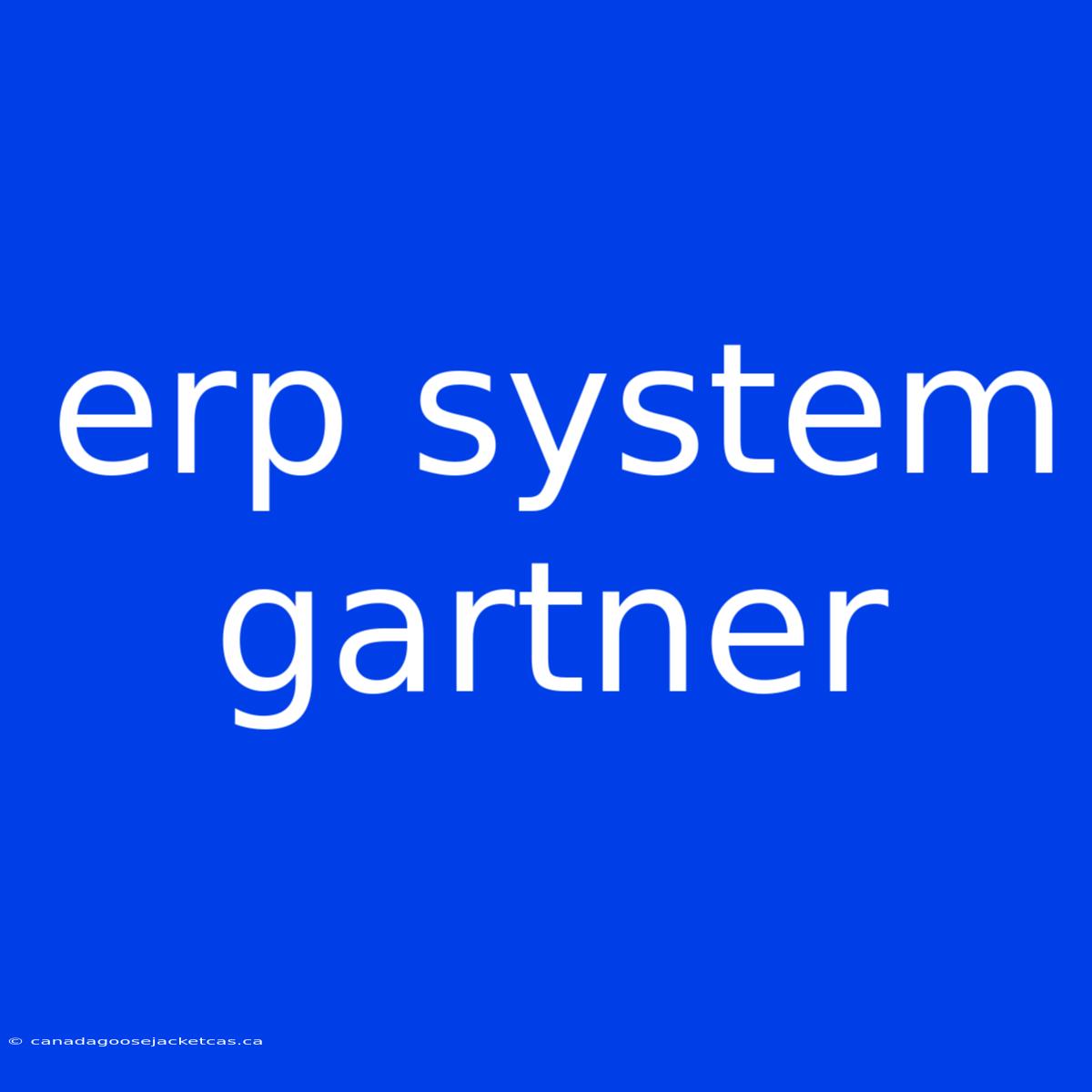 Erp System Gartner