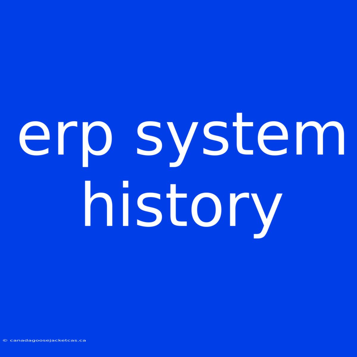 Erp System History