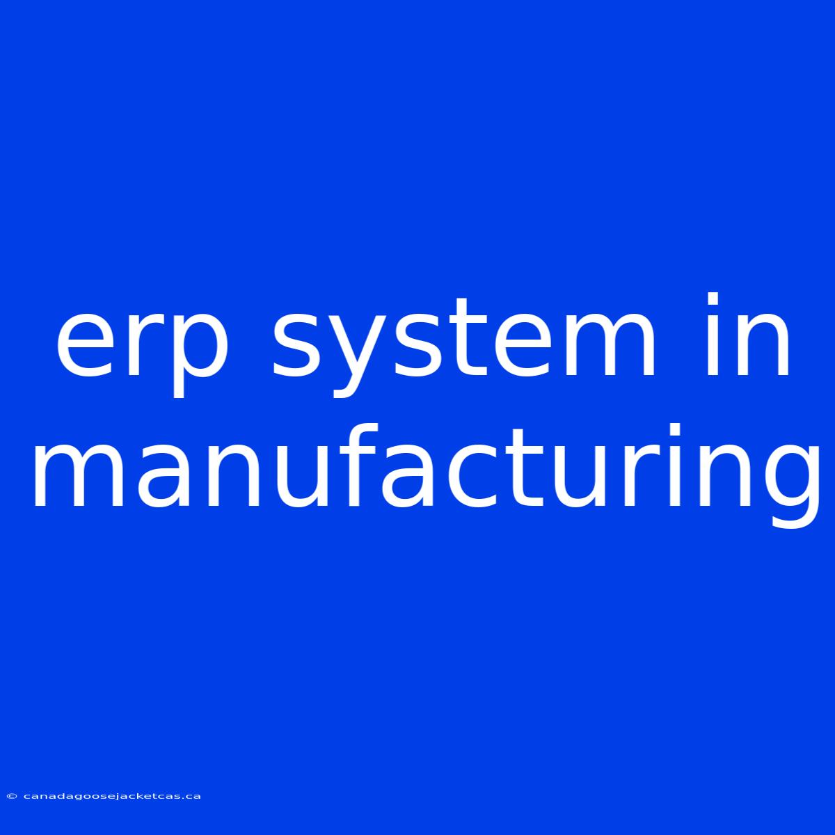 Erp System In Manufacturing