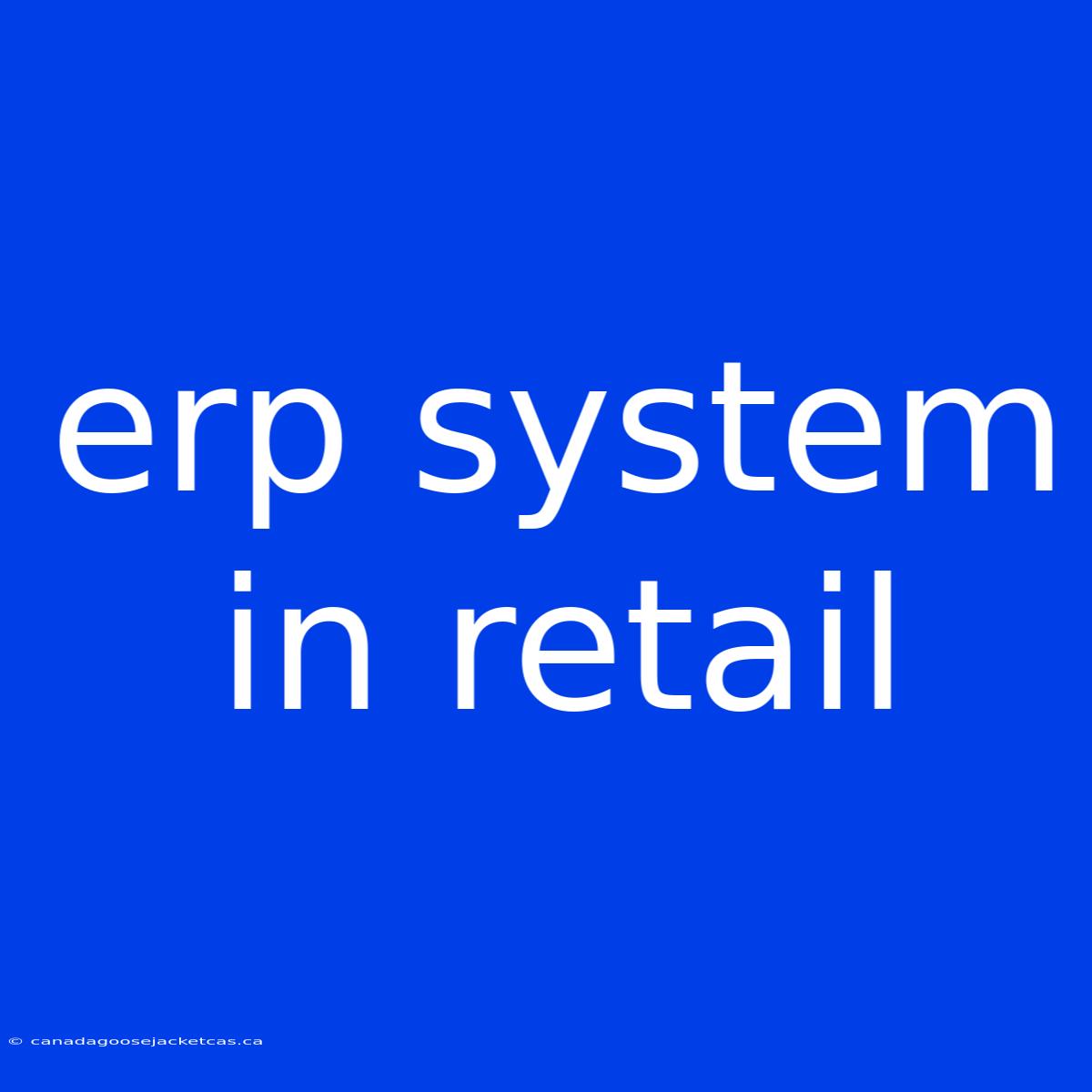 Erp System In Retail