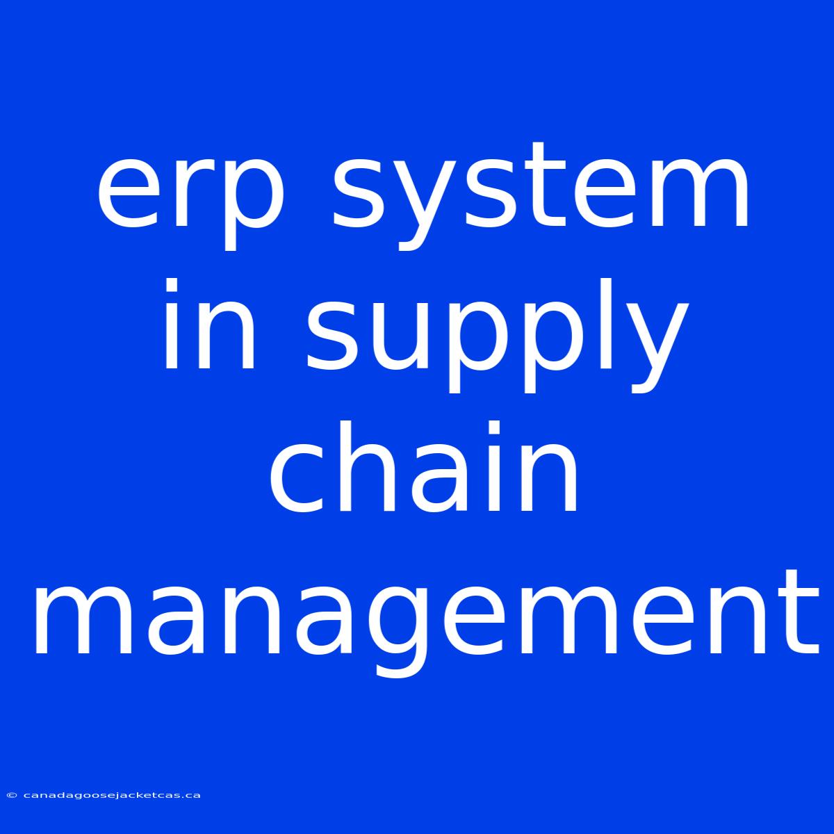 Erp System In Supply Chain Management