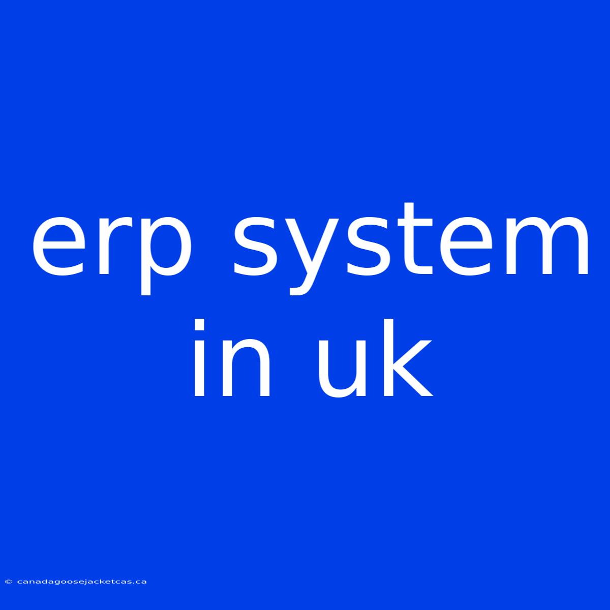 Erp System In Uk