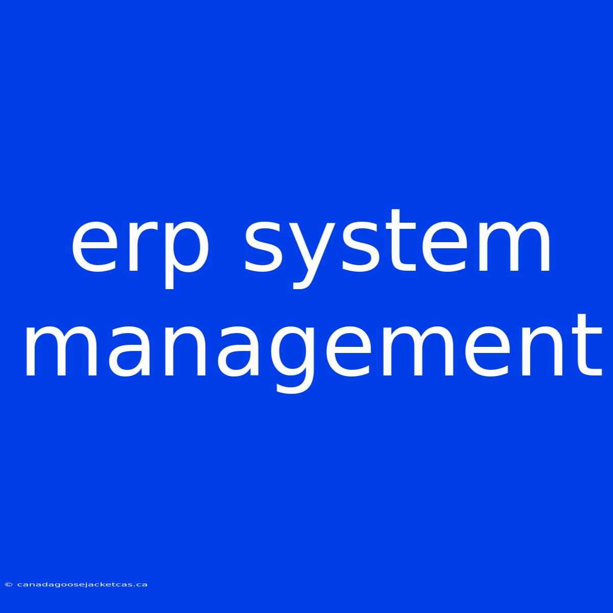 Erp System Management