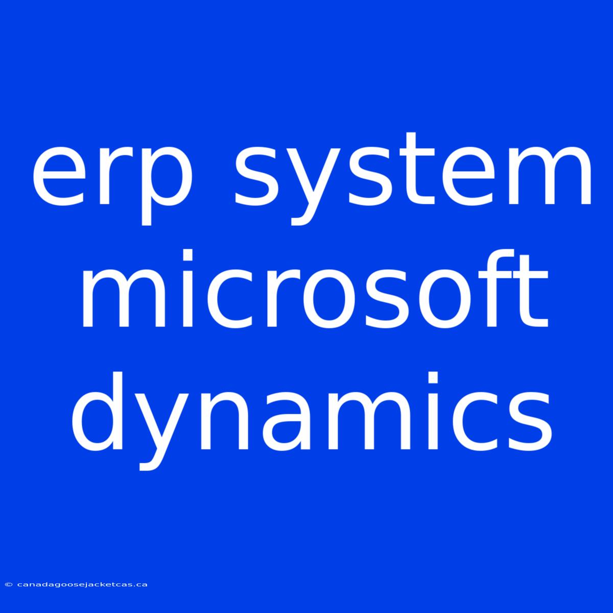 Erp System Microsoft Dynamics