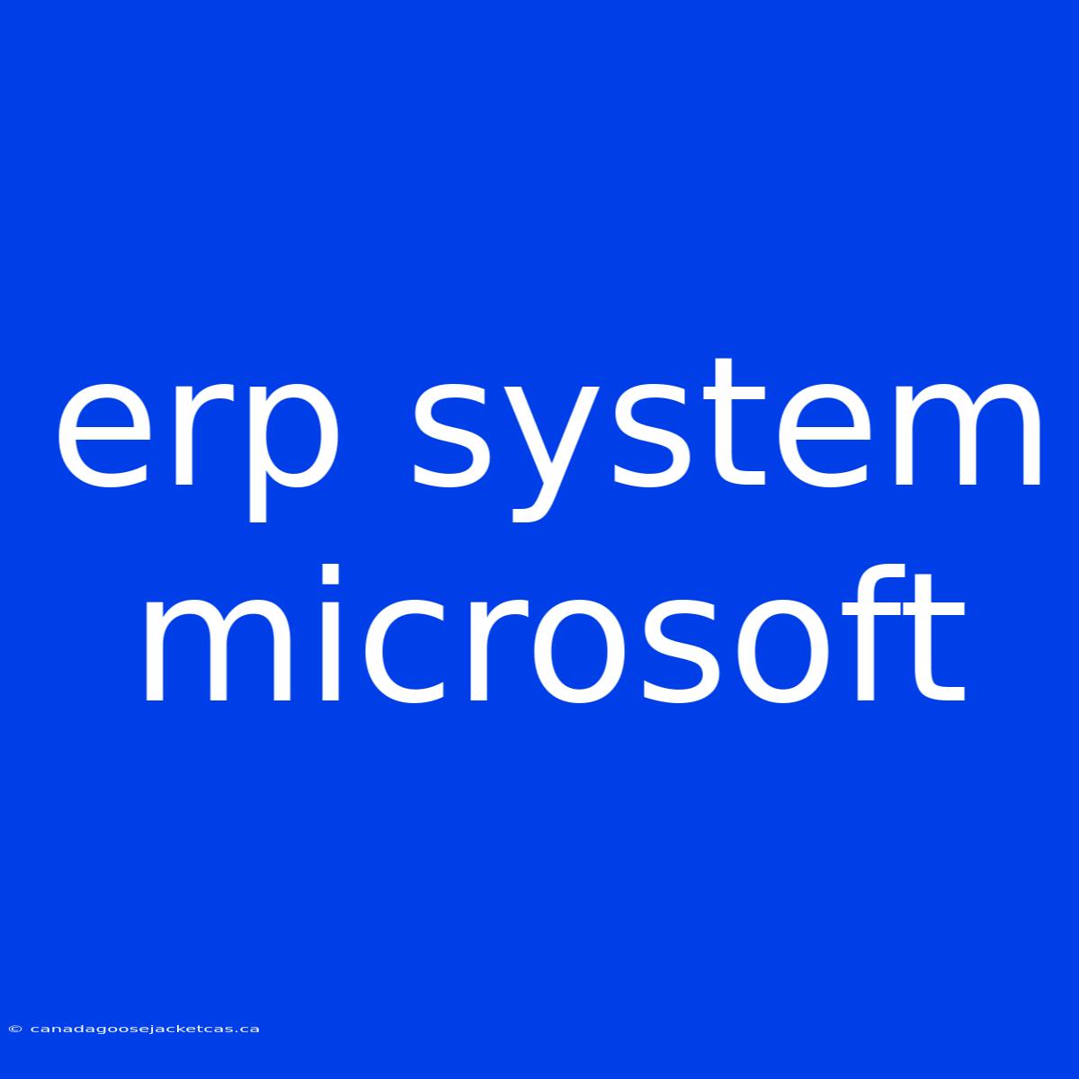 Erp System Microsoft