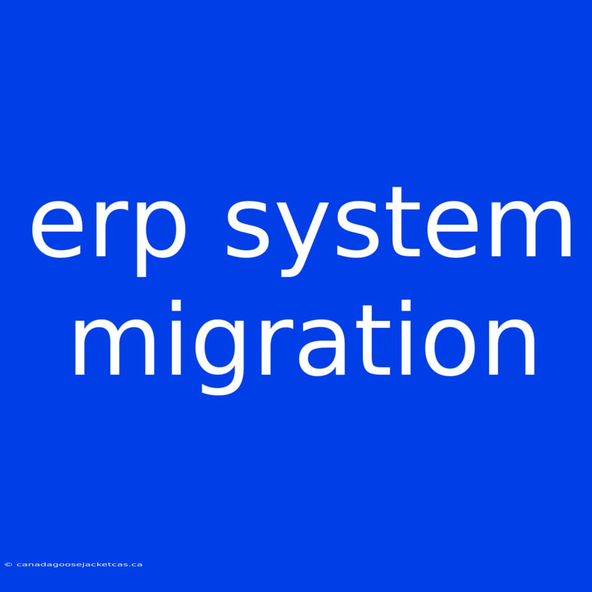 Erp System Migration