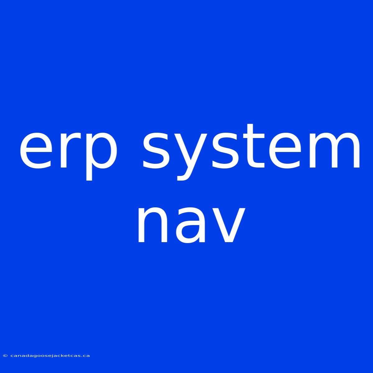 Erp System Nav