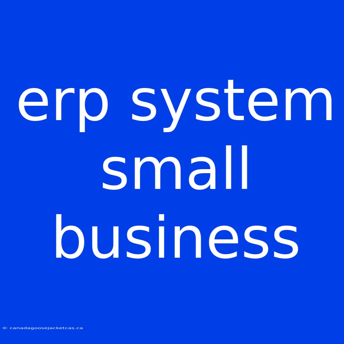 Erp System Small Business