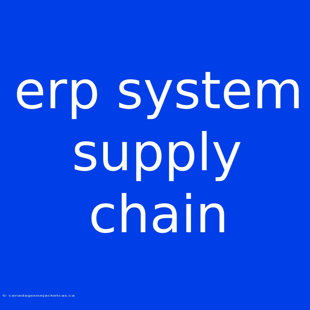 Erp System Supply Chain