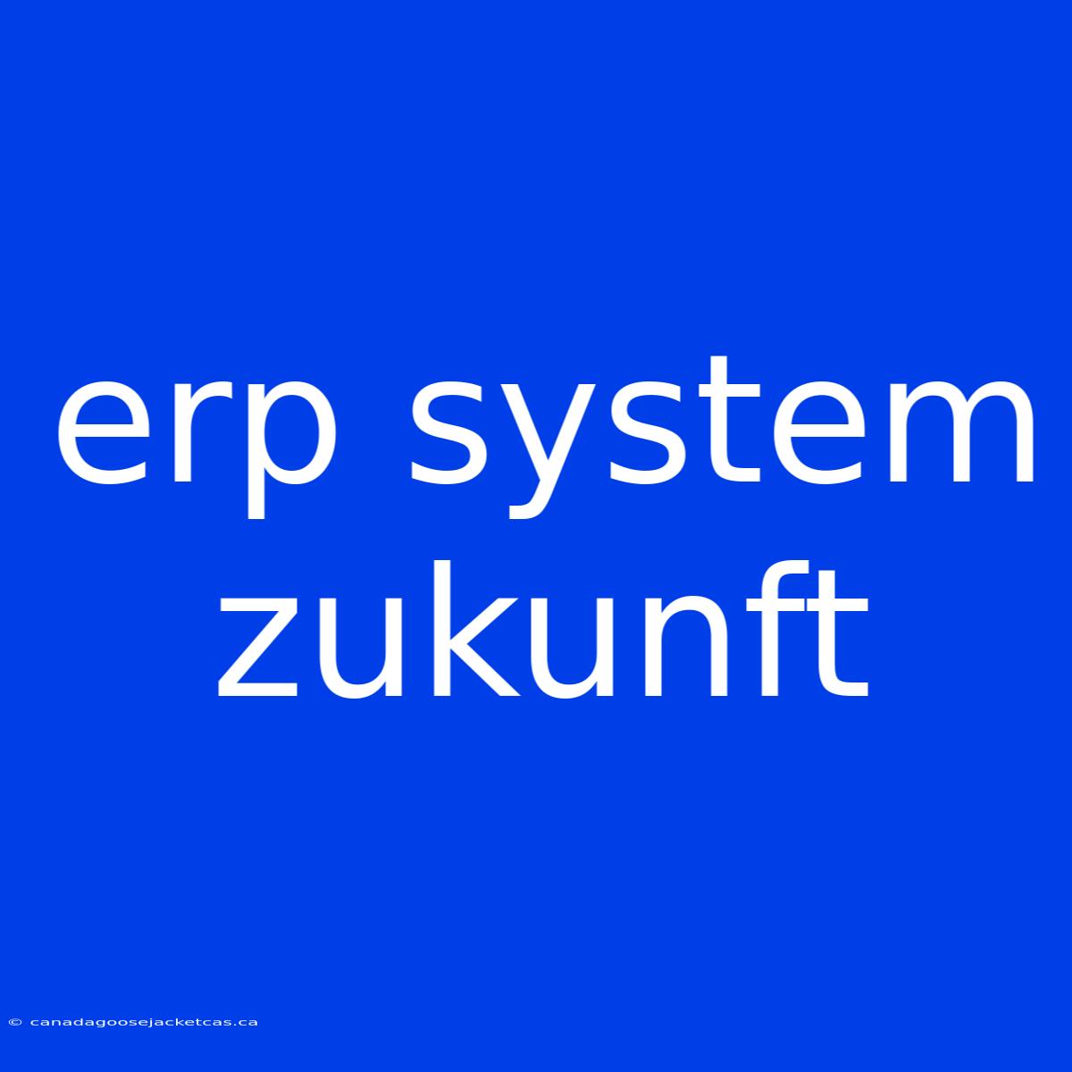 Erp System Zukunft